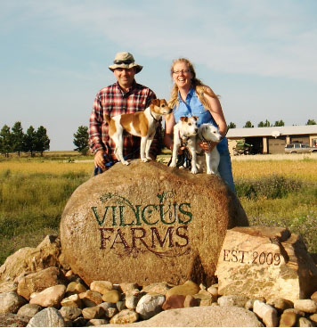 Welcome to Vilicus Farms